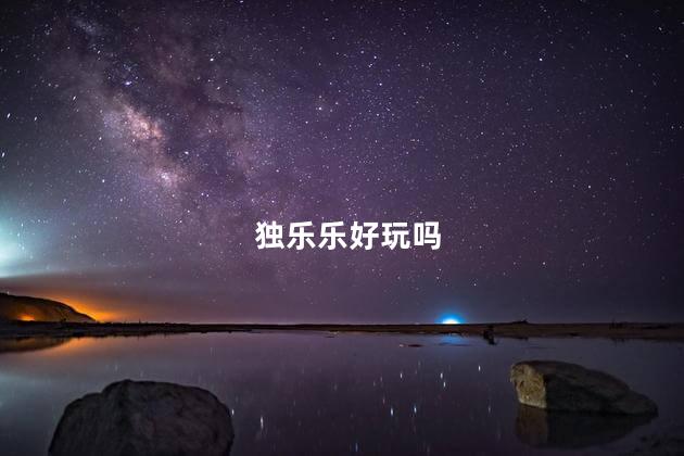 独乐乐好玩吗