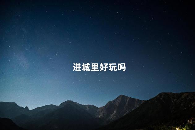进城里好玩吗