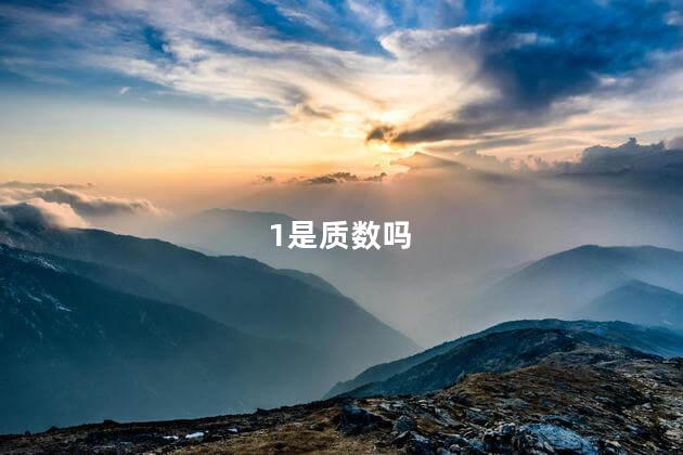 1是质数吗