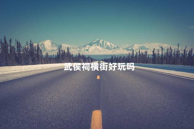 武侯祠横街好玩吗
