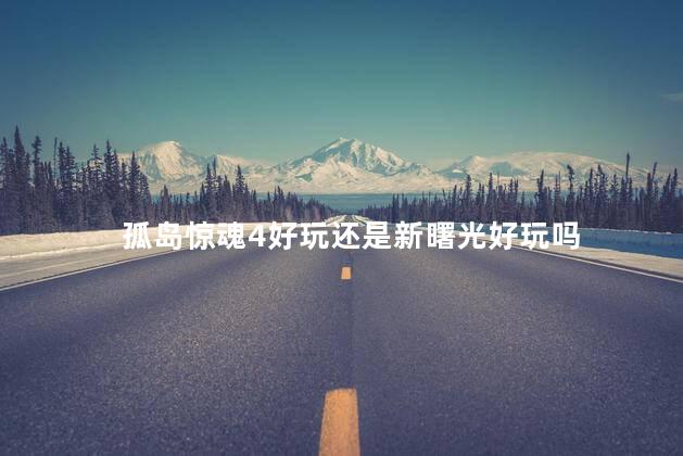孤岛惊魂4好玩还是新曙光好玩吗