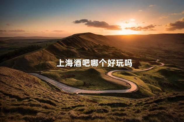 上海酒吧哪个好玩吗