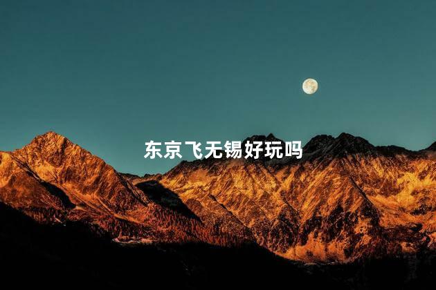 东京飞无锡好玩吗