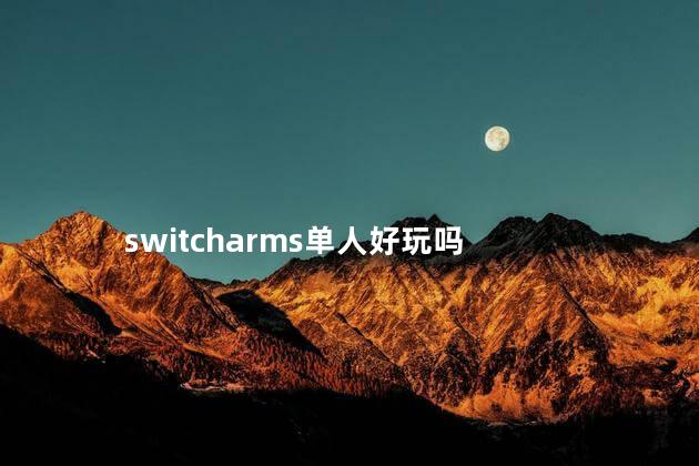 switcharms单人好玩吗