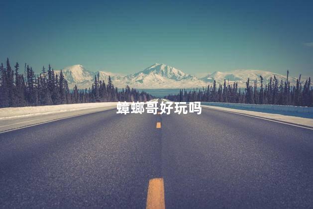 蟑螂哥好玩吗
