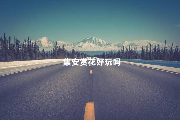集安赏花好玩吗