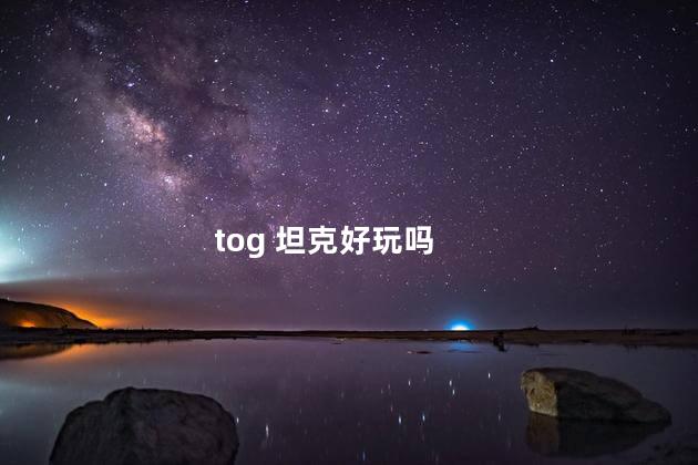 tog 坦克好玩吗