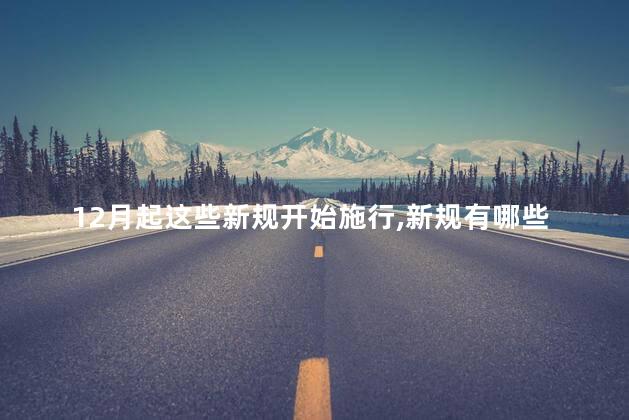这些新规开始施行，新规有哪些