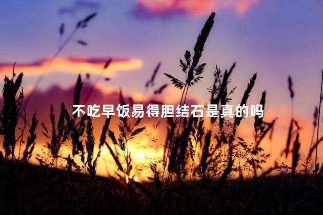 不吃早饭易得胆结石是真的吗，早餐的重要性