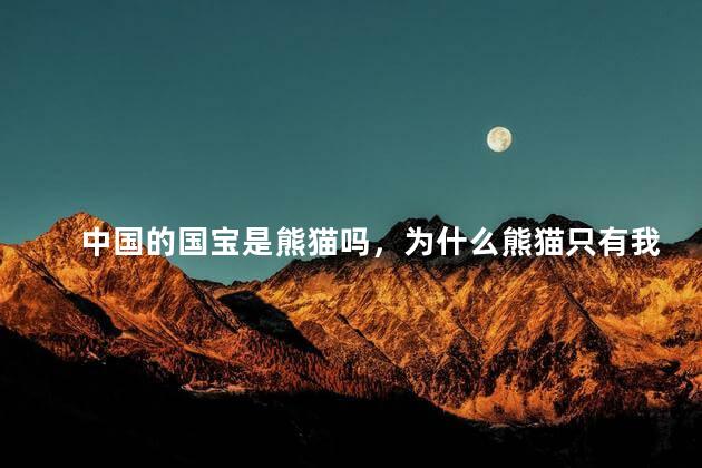 中国的国宝是熊猫吗，为什么熊猫只有我们中国才有