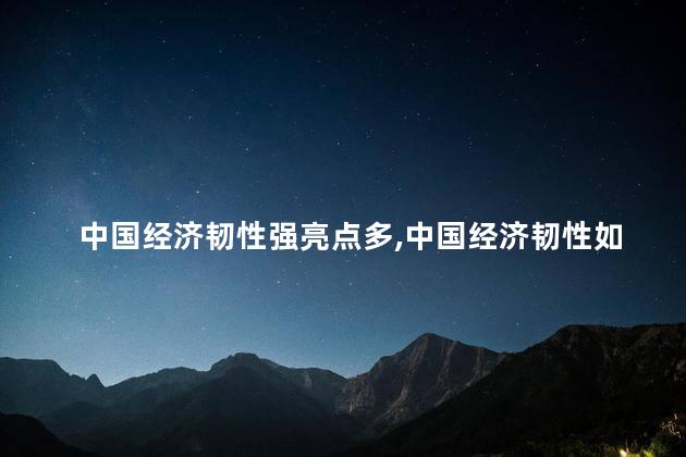 中国经济韧性强亮点多，中国经济韧性如何