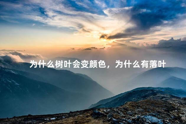 为什么树叶会变颜色，为什么有落叶