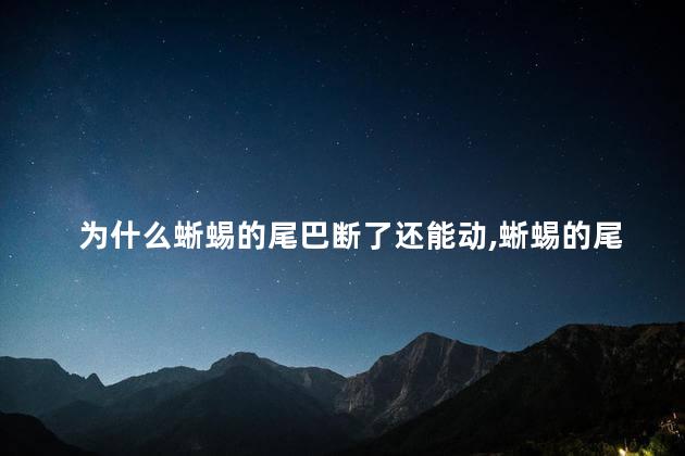 为什么蜥蜴的尾巴断了还能动