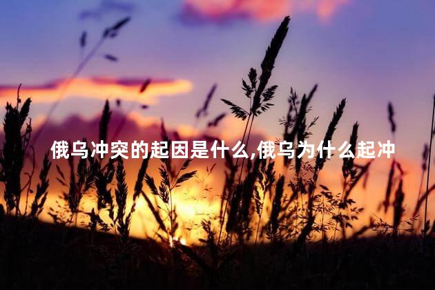 俄乌冲突的起因是什么，俄乌为什么起冲突