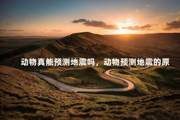 动物真能预测地震吗，动物预测地震的原理