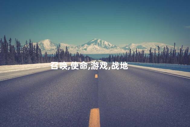 使命召唤野牛好玩吗 使命召唤和战地哪个好玩