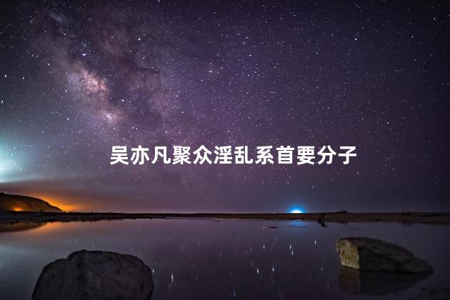 吴亦凡聚众淫乱系首要分子