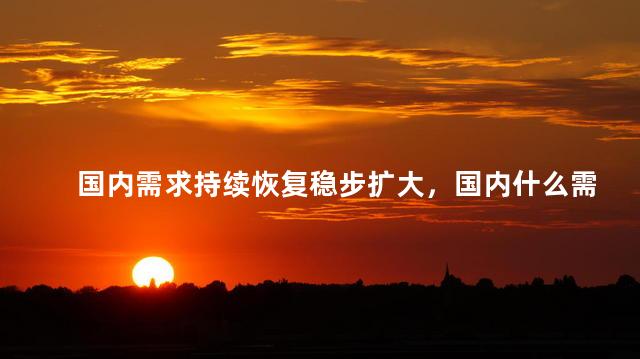 国内需求持续恢复稳步扩大，国内什么需求大