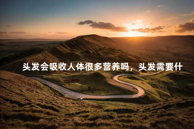 头发会吸收人体很多营养吗，头发需要什么营养