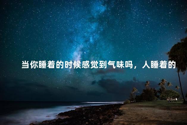 当你睡着的时候感觉到气味吗，人睡着的时候有没有感觉