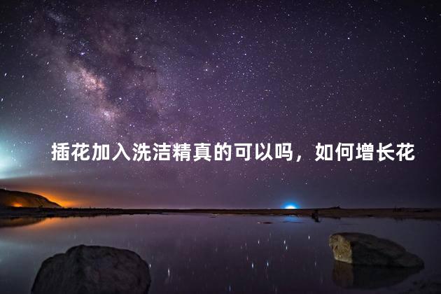 插花加入洗洁精真的可以吗，如何增长花期