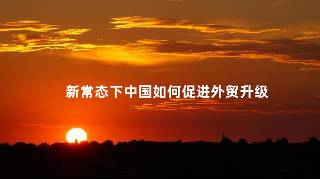 新常态下中国如何促进外贸升级