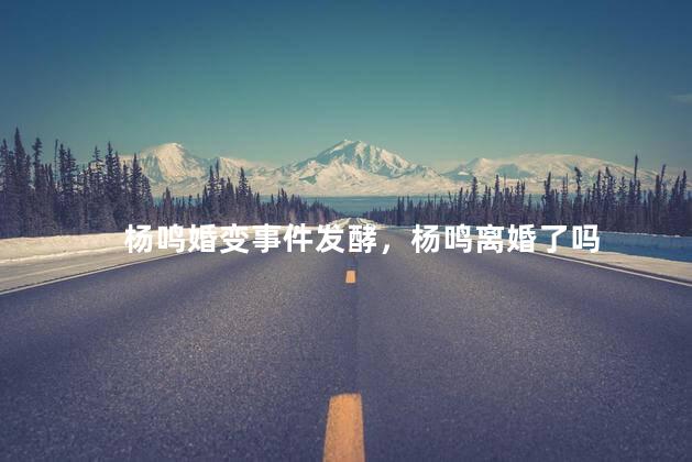杨鸣婚变事件发酵，杨鸣离婚了吗