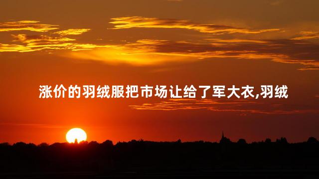 涨价的羽绒服把市场让给了军大衣，羽绒服跟军大衣的对比