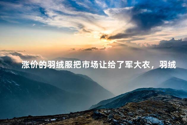 涨价的羽绒服把市场让给了军大衣，羽绒服跟军大衣的对比