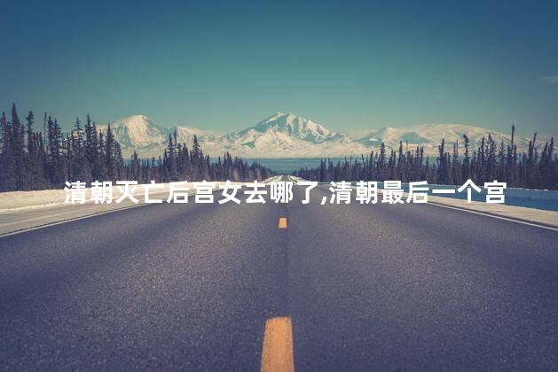 清朝灭亡后宫女去哪了，清朝最后一个宫女活到哪年