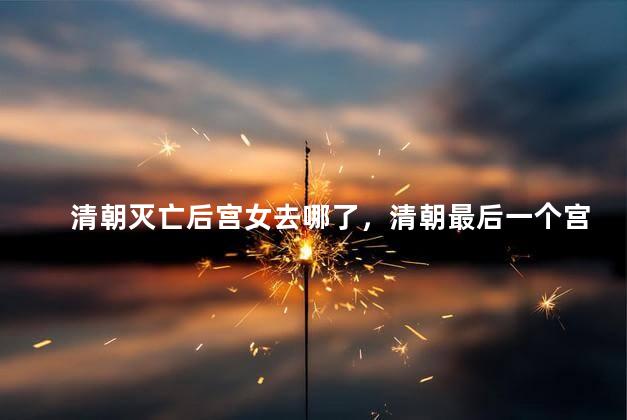 清朝灭亡后宫女去哪了，清朝最后一个宫女活到哪年