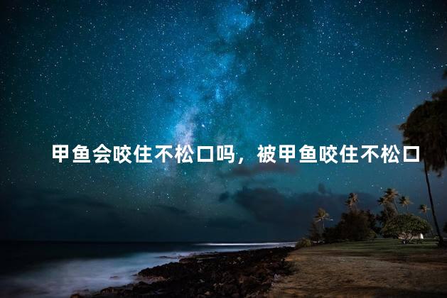 甲鱼会咬住不松口吗，被甲鱼咬住不松口怎么办