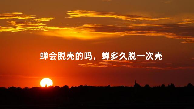 蝉会脱壳的吗，蝉多久脱一次壳