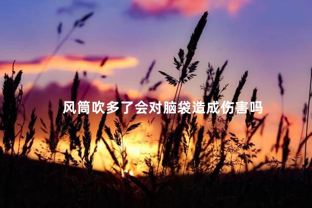 风筒吹多了会对脑袋造成伤害吗，风筒吹多伤发吗