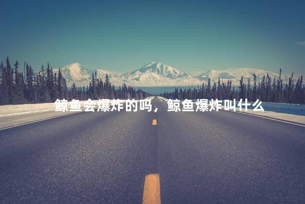 鲸鱼会爆炸的吗，鲸鱼爆炸叫什么