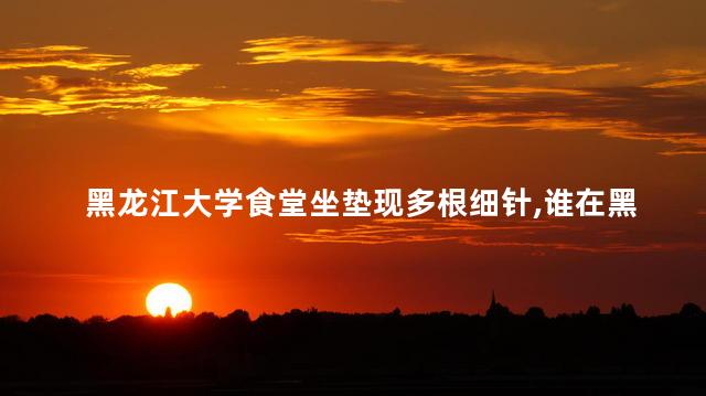 黑龙江大学食堂坐垫现多根细针，谁在黑龙江大学食堂坐垫放针