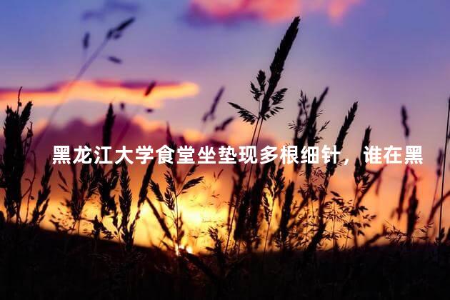黑龙江大学食堂坐垫现多根细针，谁在黑龙江大学食堂坐垫放针